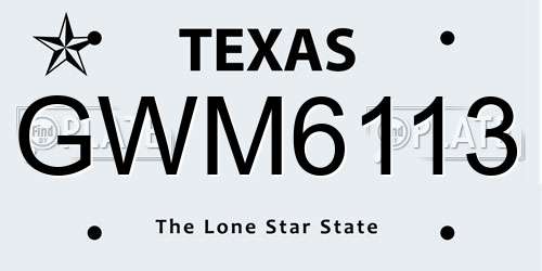 GWM6113 Texas License Plate