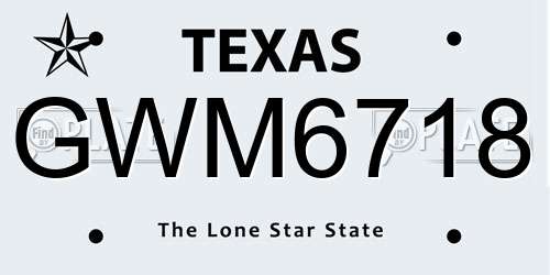 GWM6718 Texas License Plate