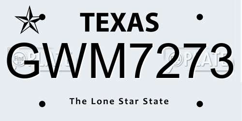 GWM7273 Texas License Plate