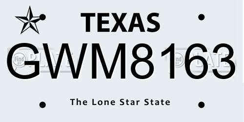 GWM8163 Texas License Plate