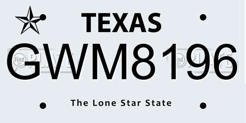 GWM8196 Texas License Plate
