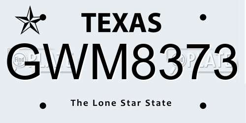 GWM8373 Texas License Plate