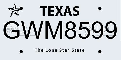 GWM8599 Texas License Plate