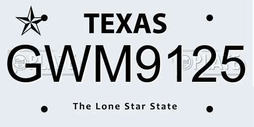 GWM9125 Texas License Plate