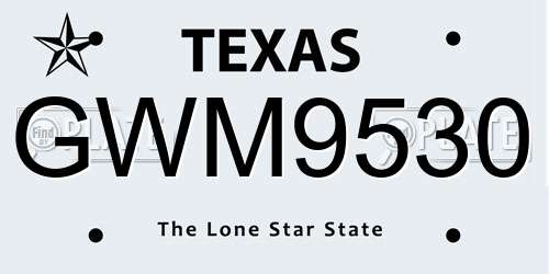 GWM9530 Texas License Plate