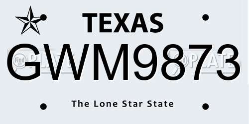 GWM9873 Texas License Plate