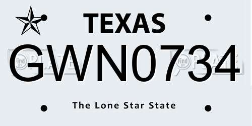 GWN0734 Texas License Plate