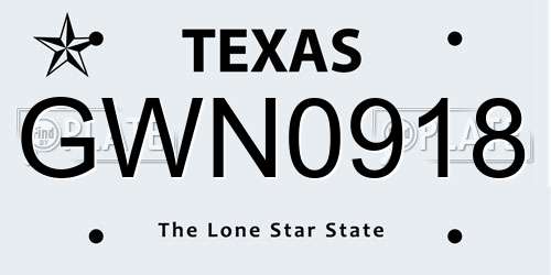 GWN0918 Texas License Plate