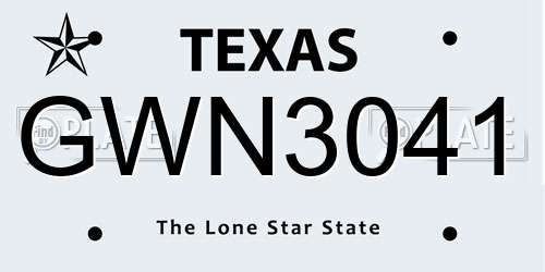 GWN3041 Texas License Plate