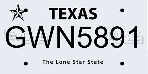 GWN5891 Texas License Plate