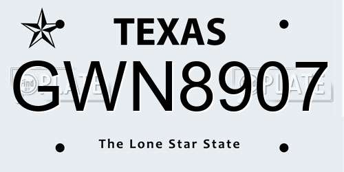 GWN8907 Texas License Plate