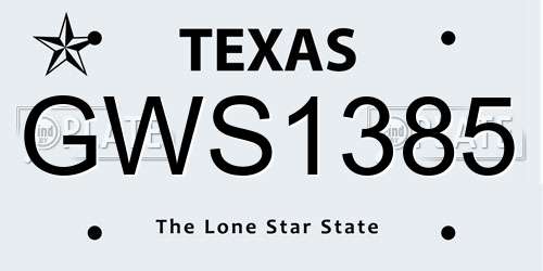 GWS1385 Texas License Plate