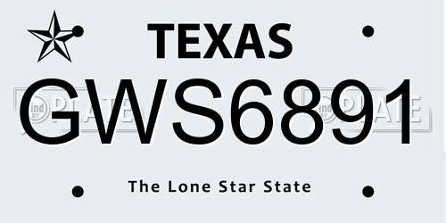 GWS6891 Texas License Plate