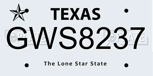 GWS8237 Texas License Plate