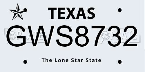 GWS8732 Texas License Plate