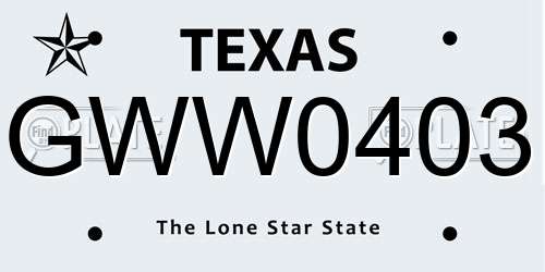 GWW0403 Texas License Plate