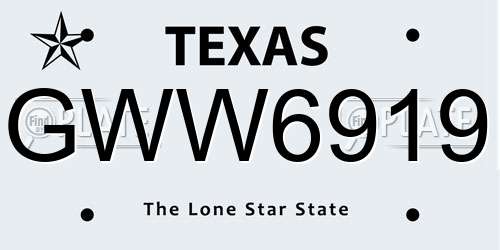 GWW6919 Texas License Plate
