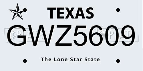 GWZ5609 Texas License Plate