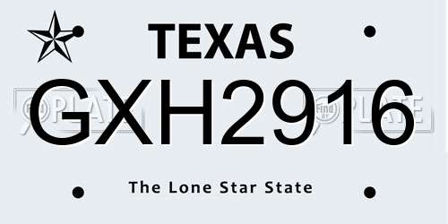 GXH2916 Texas License Plate
