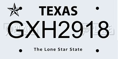 GXH2918 Texas License Plate
