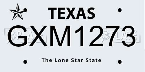 GXM1273 Texas License Plate