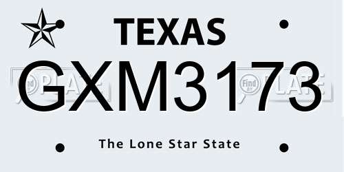 GXM3173 Texas License Plate