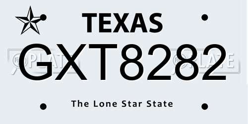 GXT8282 Texas License Plate