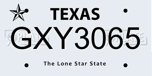 GXY3065 Texas License Plate