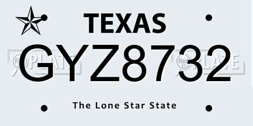GYZ8732 Texas License Plate