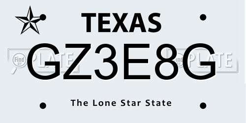GZ3E8G Texas License Plate