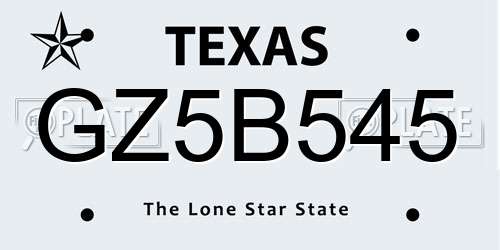 GZ5B545 Texas License Plate