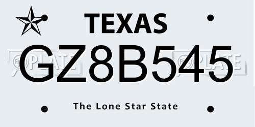 GZ8B545 Texas License Plate