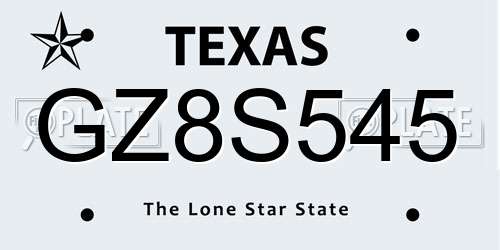 GZ8S545 Texas License Plate