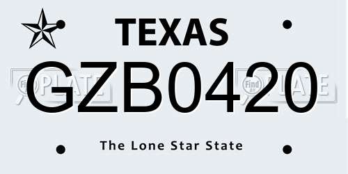 GZB0420 Texas License Plate