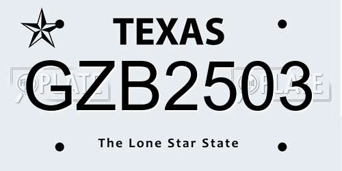GZB2503 Texas License Plate