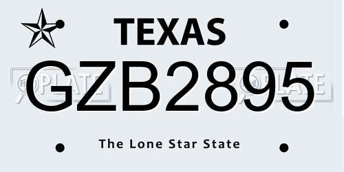 GZB2895 Texas License Plate