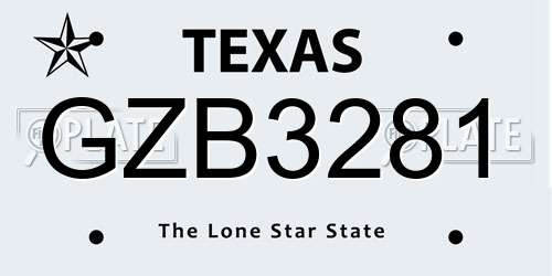 GZB3281 Texas License Plate