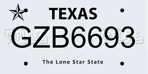 GZB6693 Texas License Plate