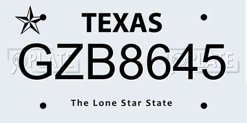 GZB8645 Texas License Plate