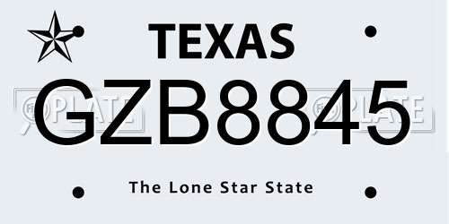 GZB8845 Texas License Plate