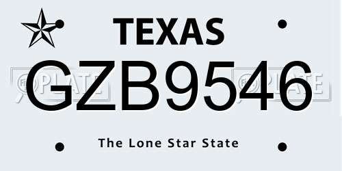 GZB9546 Texas License Plate