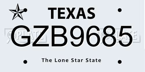 GZB9685 Texas License Plate