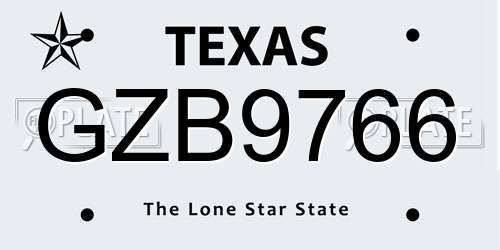 GZB9766 Texas License Plate