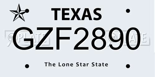 GZF2890 Texas License Plate
