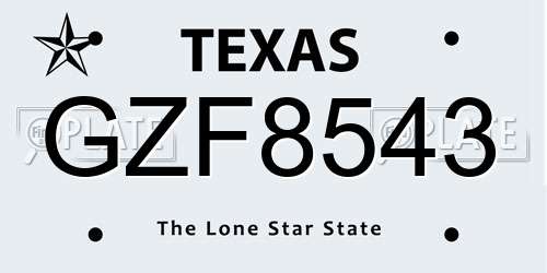 GZF8543 Texas License Plate