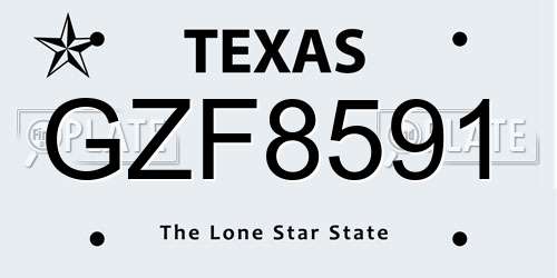 GZF8591 Texas License Plate