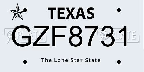 GZF8731 Texas License Plate