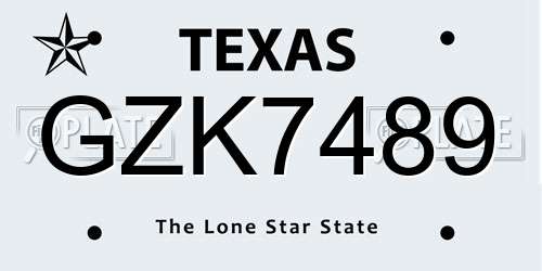 GZK7489 Texas License Plate