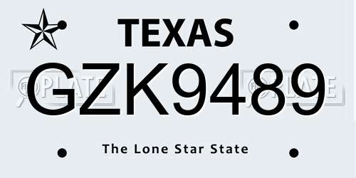 GZK9489 Texas License Plate