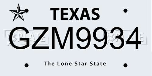 GZM9934 Texas License Plate